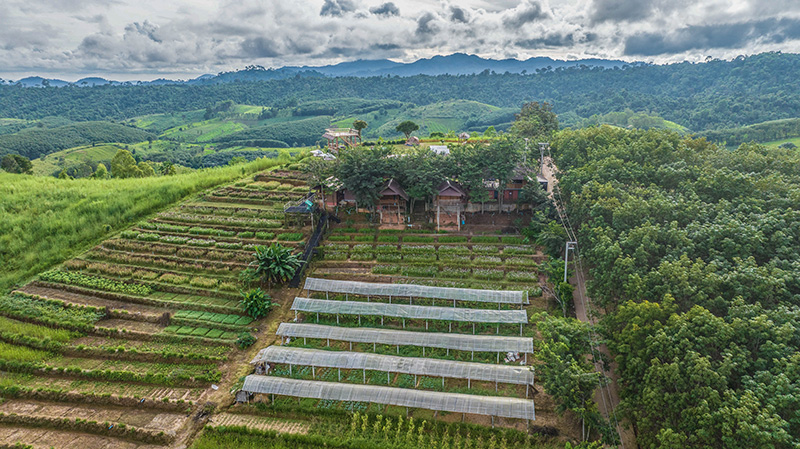 บ้านน้ำจวง ที่เที่ยวหน้าร้อนภาคเหนือ