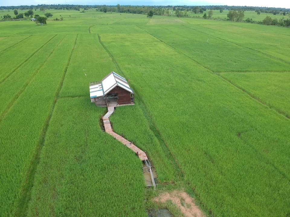 สร้างบ้านกลางทุ่งนา