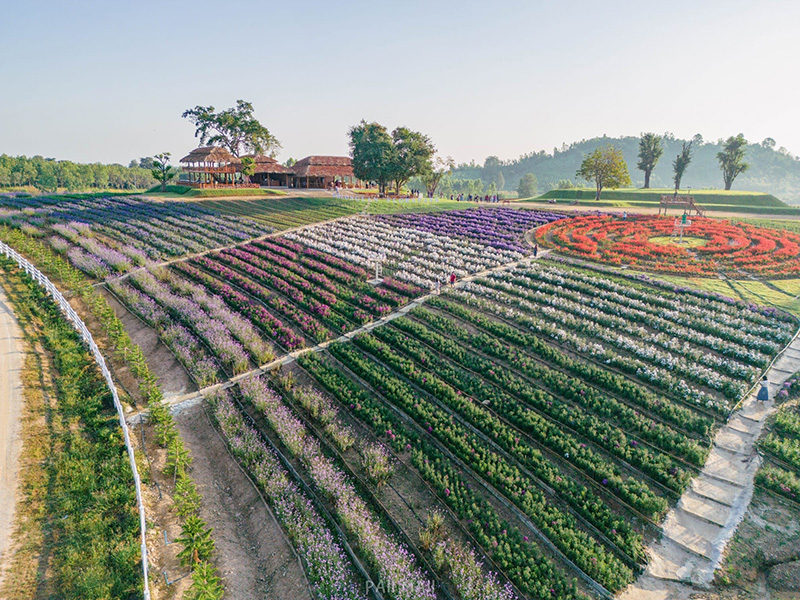 Khlong Lan Flora Park สวนดอกไม้