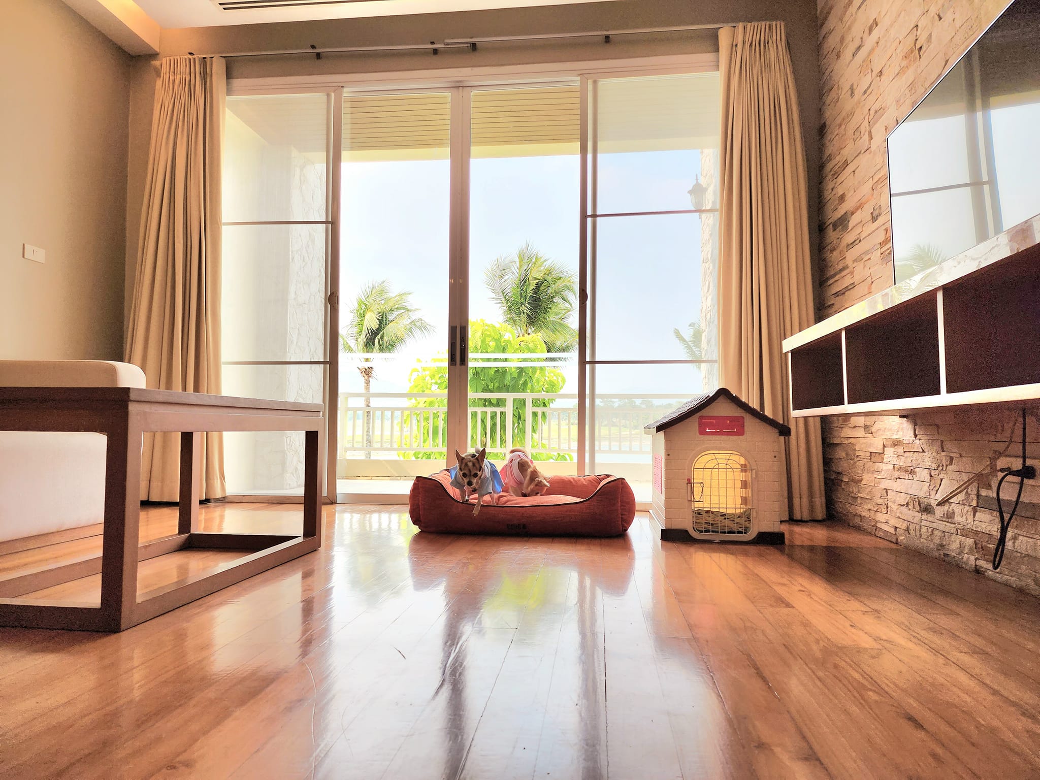 Pattana Sports Resort ที่พักชลบุรี สัตว์เลี้ยงเข้าพักได้