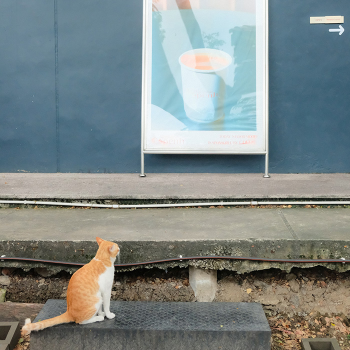 คาเฟ่ลาดพร้าว71