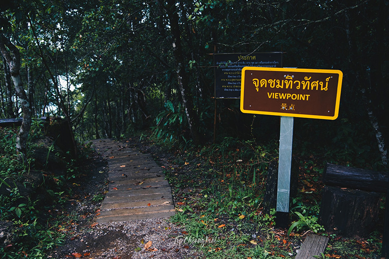 ดอยหัวหมู