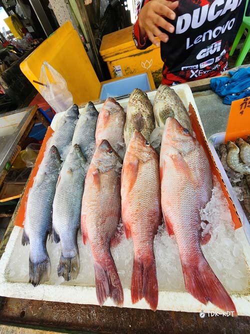 ซีฟู้ดราไวย์  