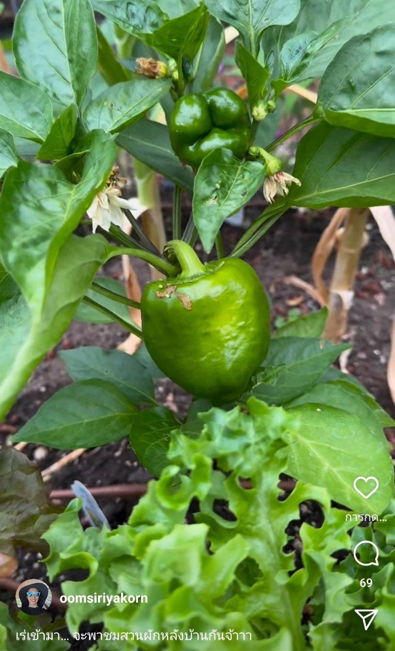 อุ้ม สิริยากร