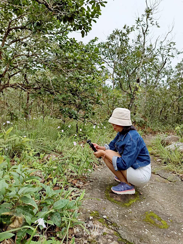 อุทยานแห่งชาติภูเรือ เลย