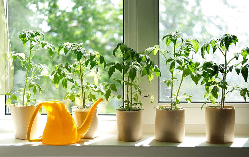 จัดสวนระเบียงคอนโด