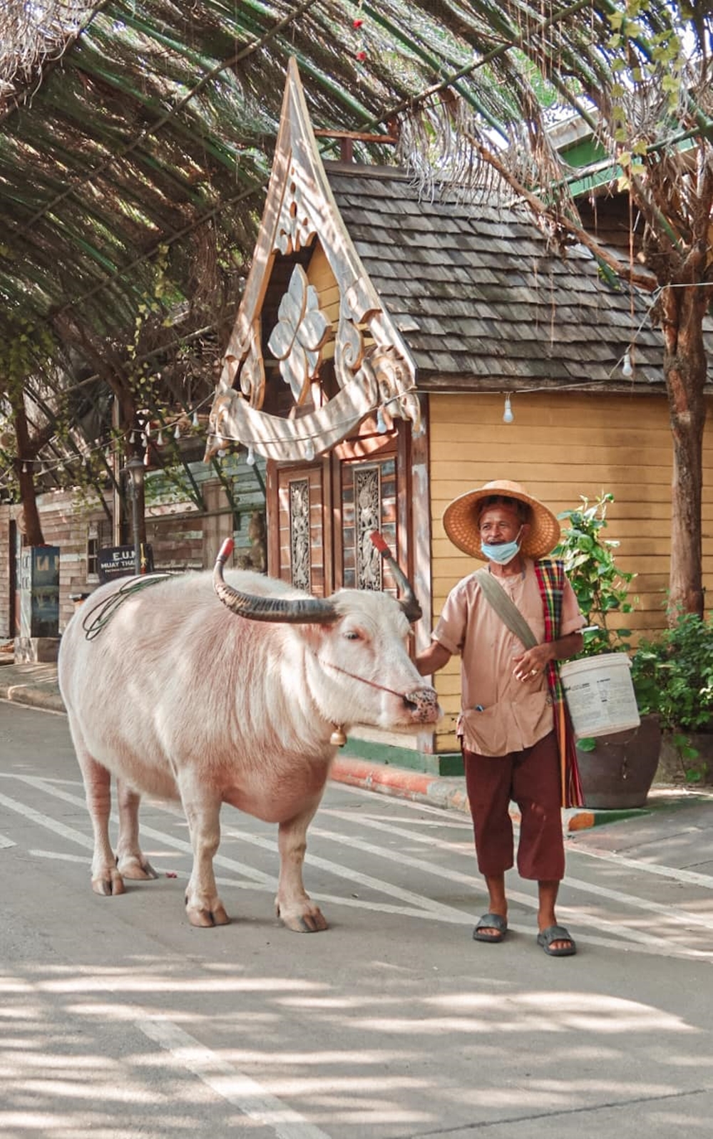 ตลาดนายแคว้น ชลบุรี