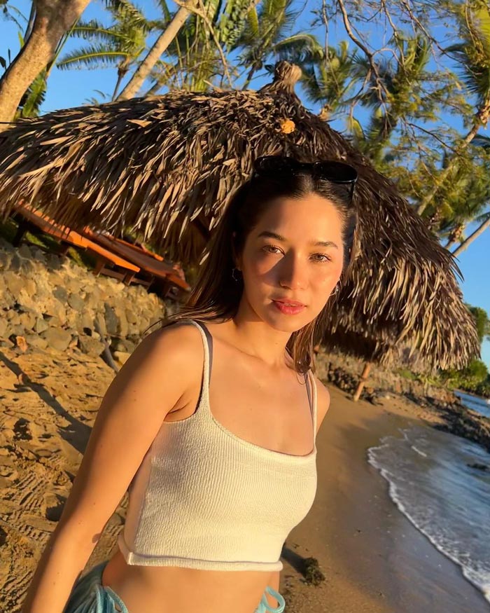 วี วิโอเลต