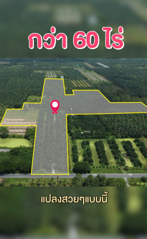 เจมส์ เรืองศักดิ์ ประกาศขาย สวนปาล์ม-ส้มโอ 60 ไร่