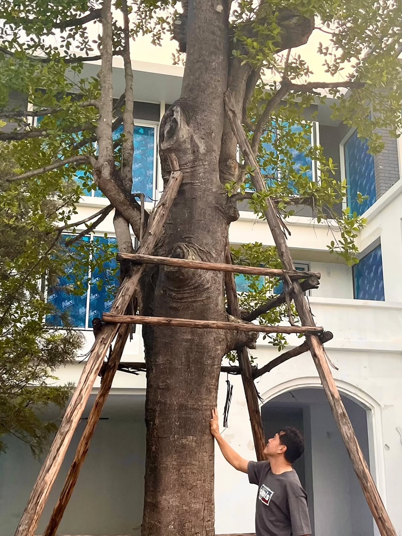 บ้านเต๋า สมชาย