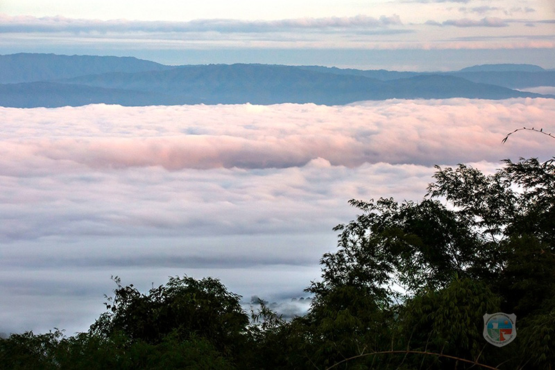 จุดชมวิวร่องกล้าฮั้นแน้ว ภูหินร่องกล้า