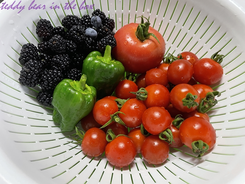 มะเขือเทศไส้บ๊วย