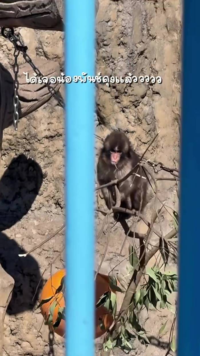 พั้นช์คุง