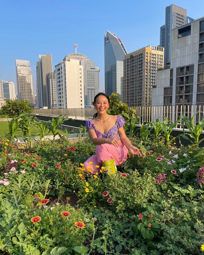 แพรี่พาย ทำฟาร์มผักบนดาดฟ้า