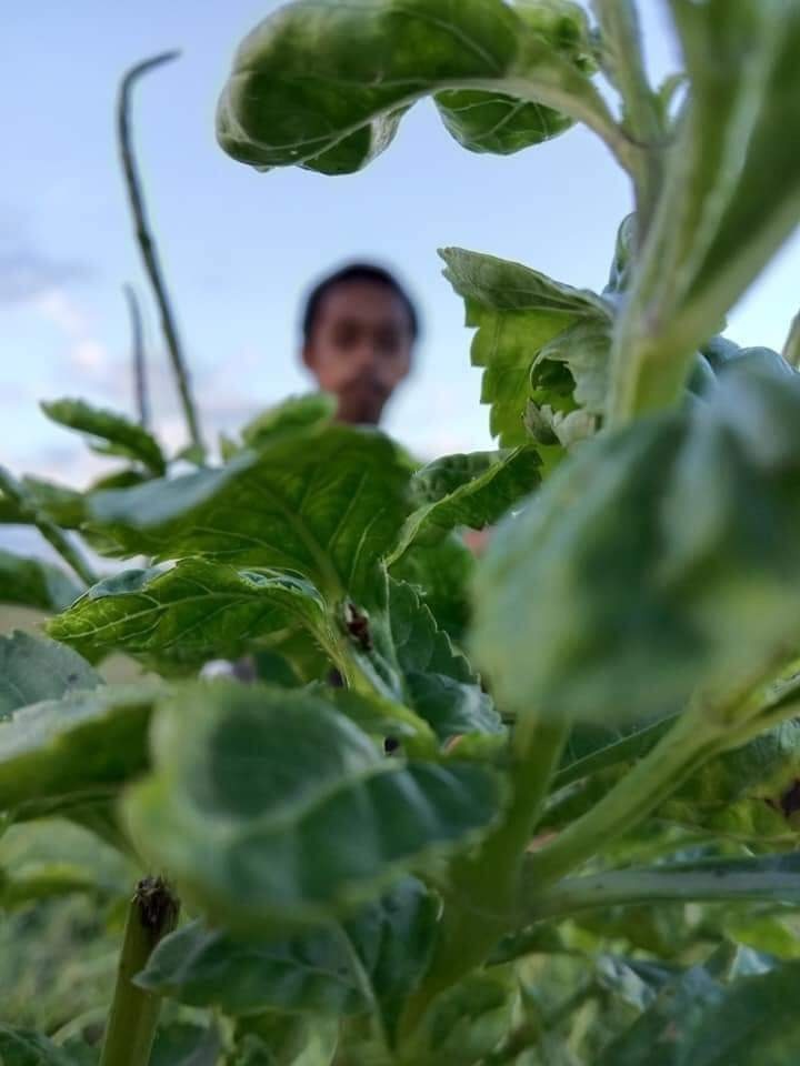 ถ่ายรูปเพื่อนแนวใหม่