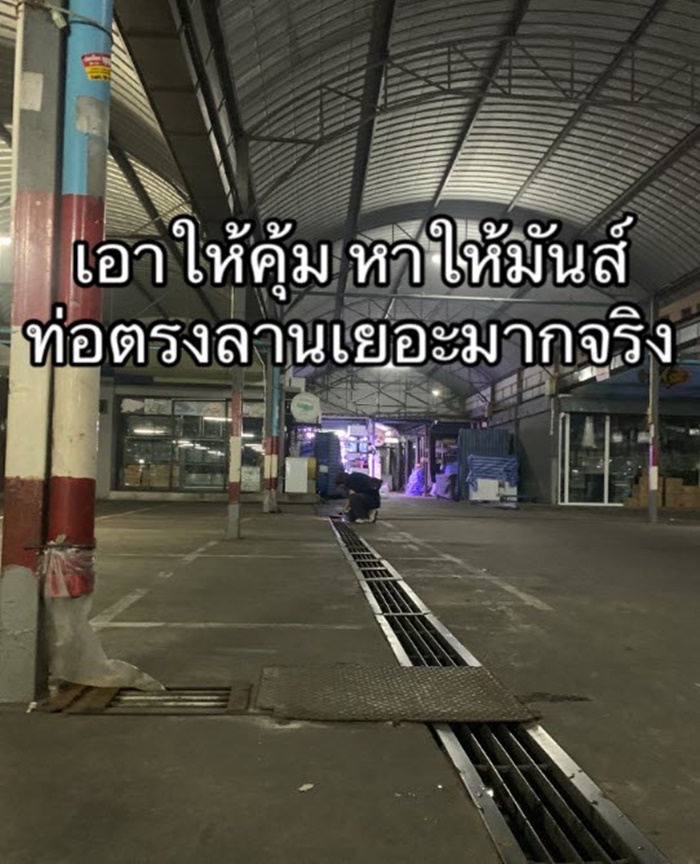 ปลาในท่อ