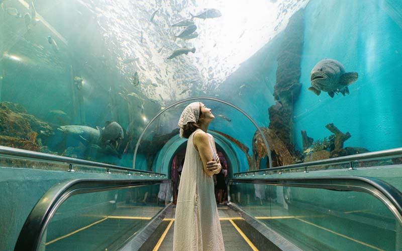 ที่เที่ยวระยอง