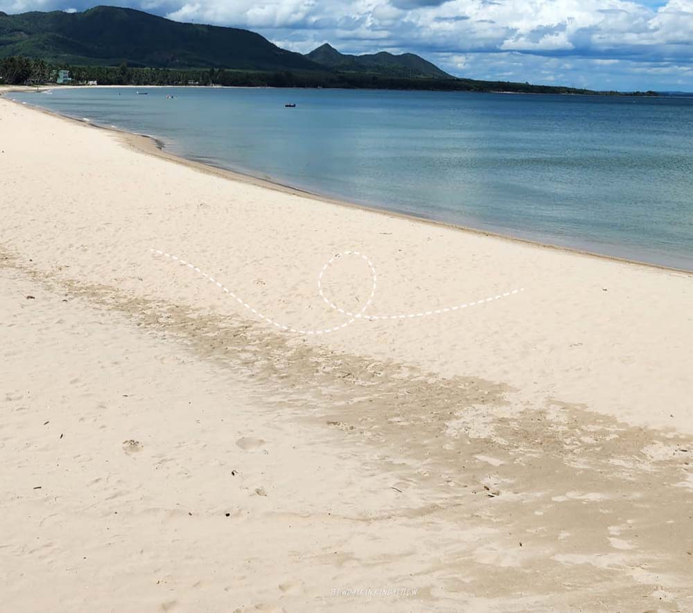 หาดสะพลี