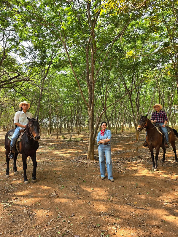 ปราบ บูลกุล