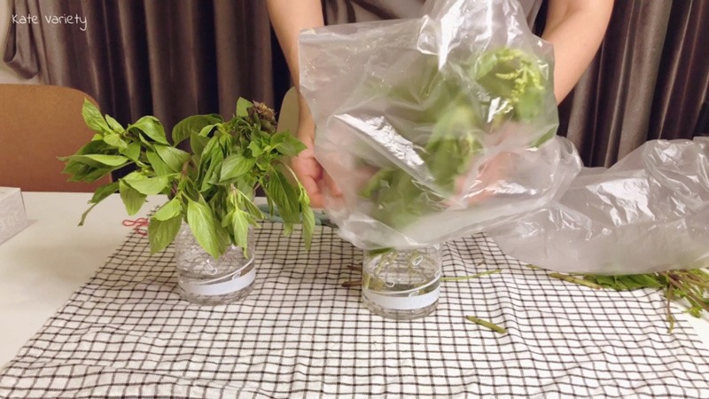 วิธีเก็บผักสด