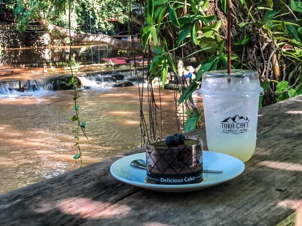 คาเฟ่ในป่า