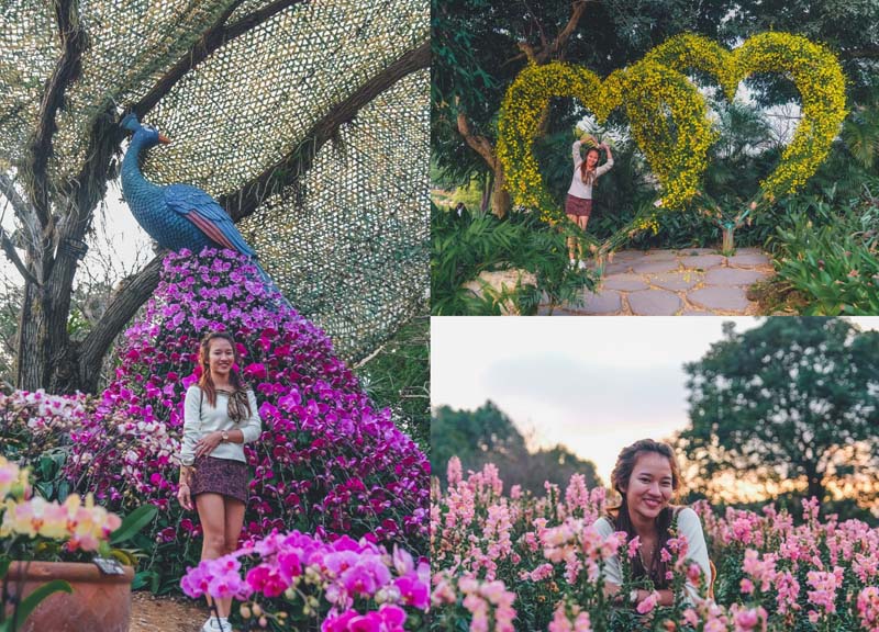 เที่ยวหนานหนิง