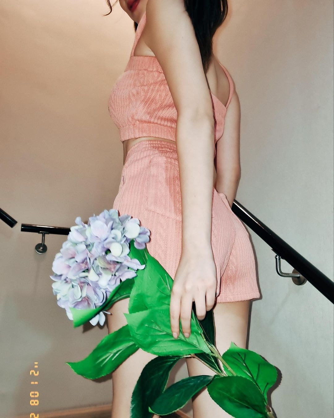 ใบเฟิร์น พิมพ์ชนก