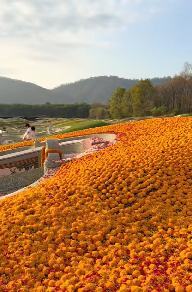 บ้านอาม่า อากง