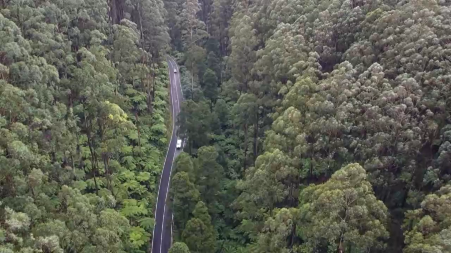 Black Spur