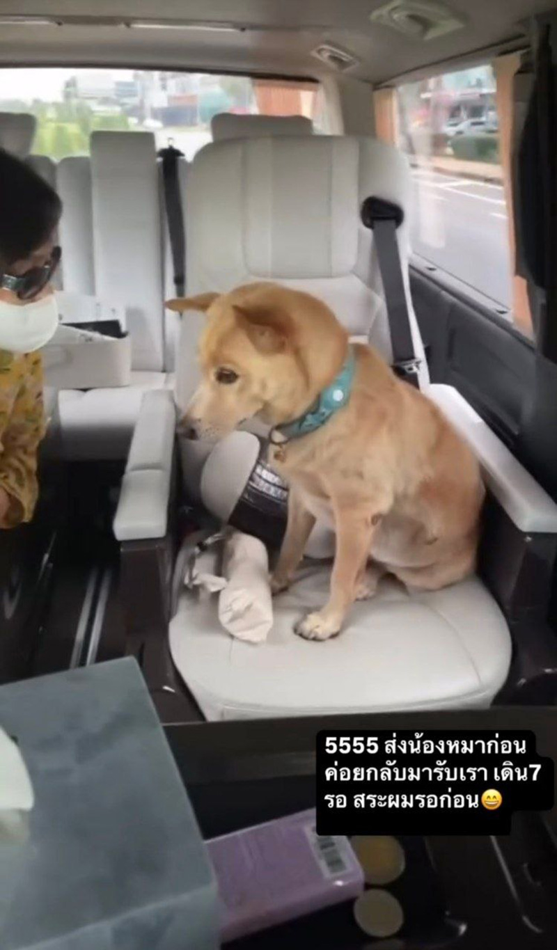 คุณชายถั่ว หมาอั้ม พัชราภา