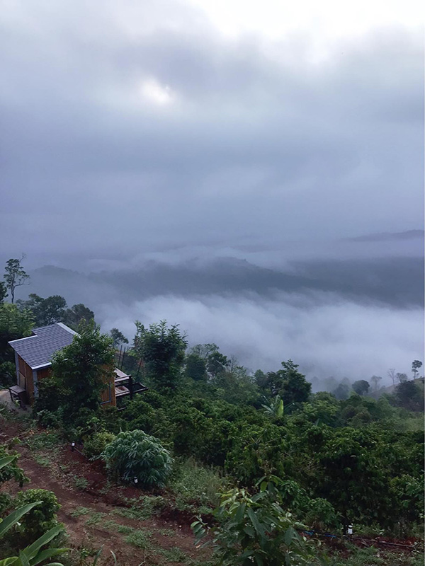 ดอยแม่มอญ เชียงราย