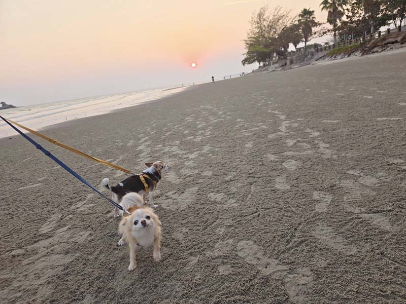 Mercure Rayong Lomtalay โรงแรมระยอง