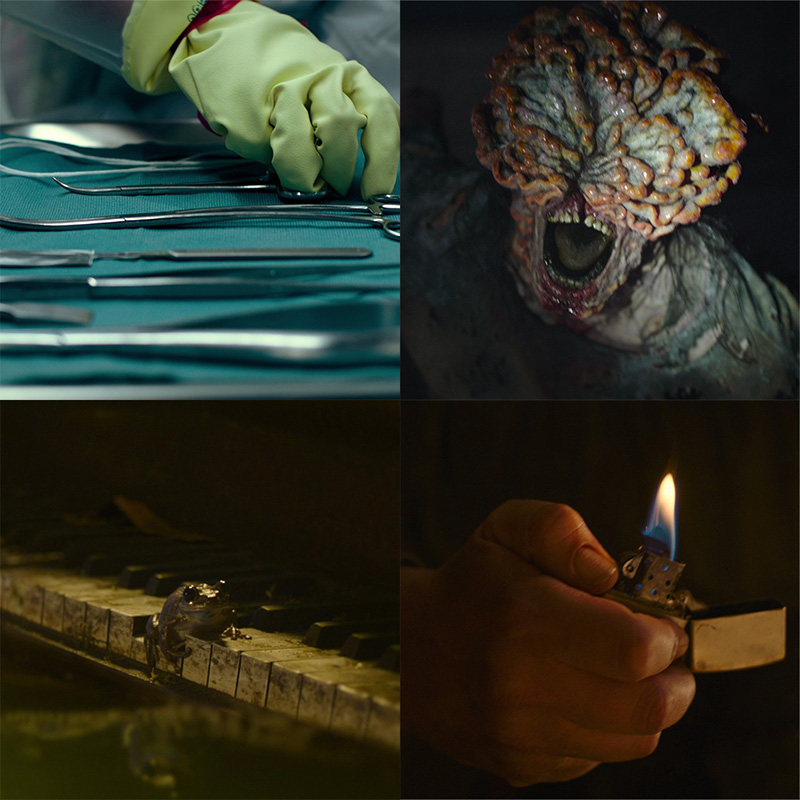 The Last of Us