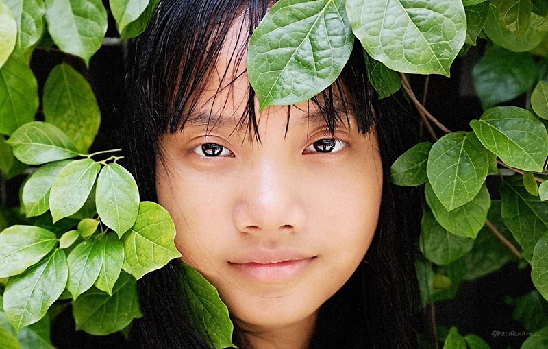 แพร ชนา ประวัติ