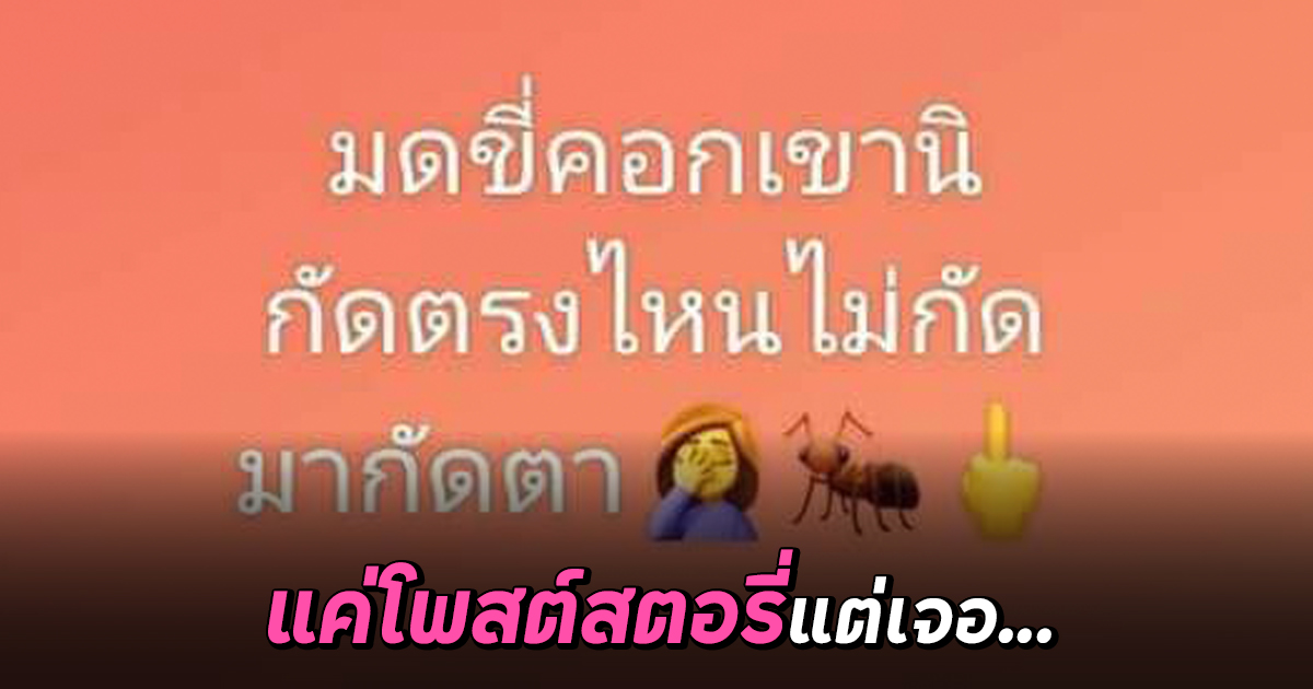 โพสต์ลงสตอรี่ว่าโดนมดกัดตา แต่เจอสาวปริศนาทักมาแบบนี้ ถึงกับไปไม่ถูก