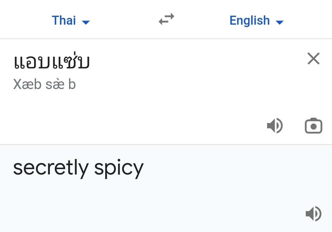 ฮากระจาย แปลคำฮิตติดปาก จากไทยเป็นอังกฤษ ผ่าน Google Translate