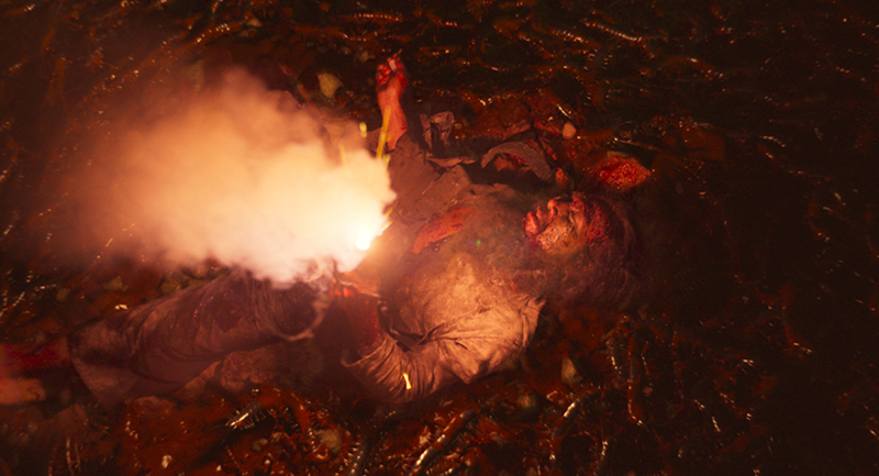 Omukade โอมุคาเดะ หนังสัตว์ประหลาด หนังใหม่ 2026 ภาพตัวอย่าง