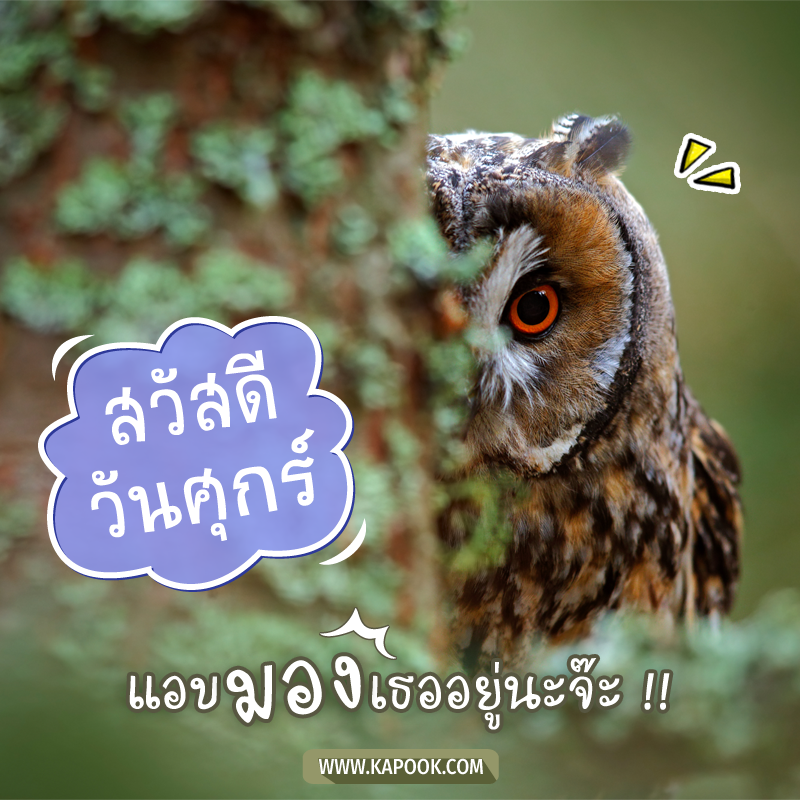 รูปสวัสดีวันศุกร์ แอบมองเธออยู่นะจ๊ะ