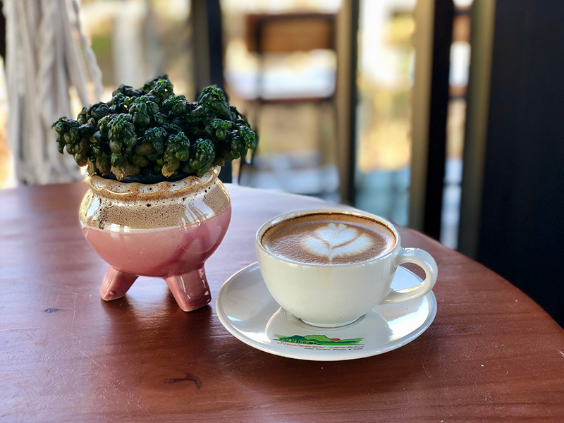 ร้านกาแฟเชียงใหม่ ธรรมชาติ