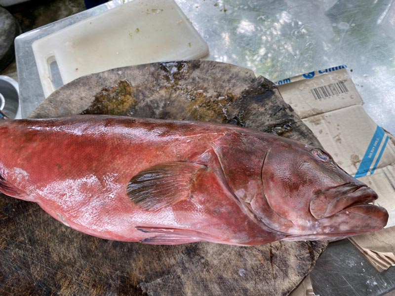 ข้าวต้มปลา