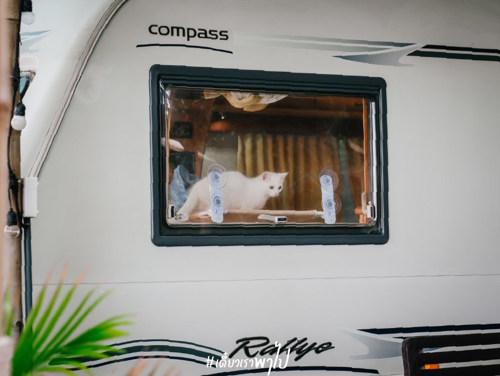 Beach House Camp