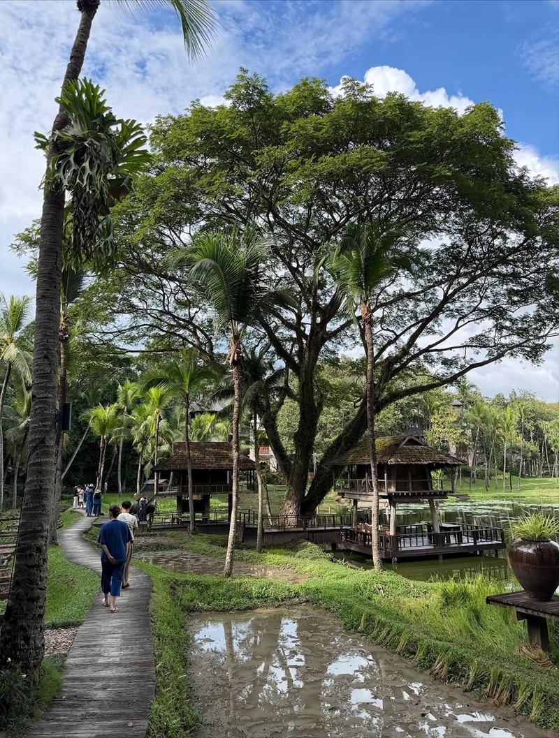 วิน เมธวิน