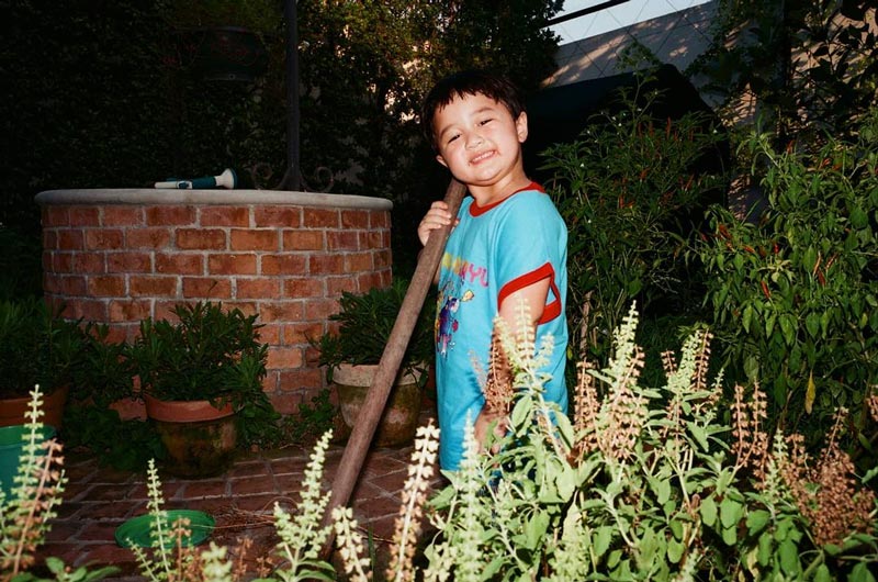 น้องสายฟ้า น้องพายุ