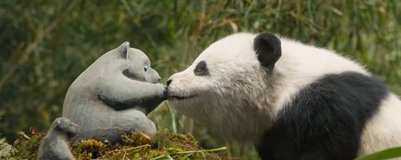 Panda Plan 2 The Magical Tribe แพนด้าเด้งยกกำลังฟัด หนังใหม่เฉินหลง หนังใหม่เมษายน 2026 หนังใหม่ 2026 ภาพตัวอย่าง