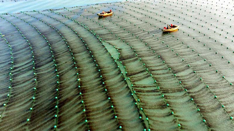 ฤดูหนาวจีน