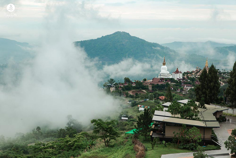 Pino​ Latte​ Hotel