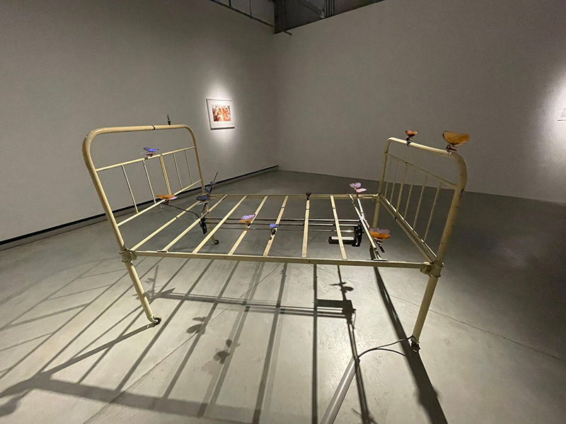 Dib Bangkok ดิบบางกอก