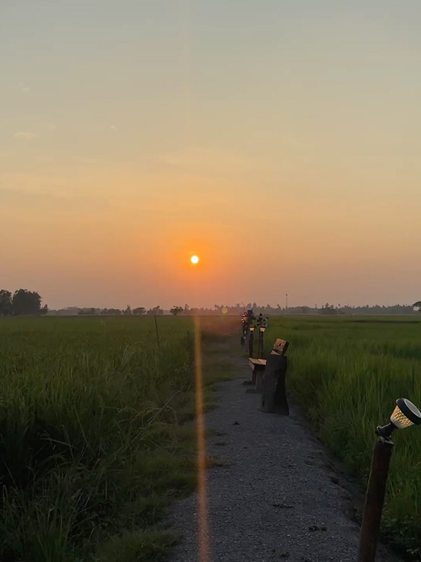 ก้อย อรัชพร