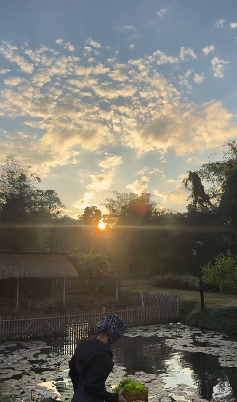 แอน ทองประสม