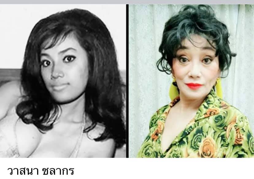 ดาวค้างฟ้าของเมืองไทย